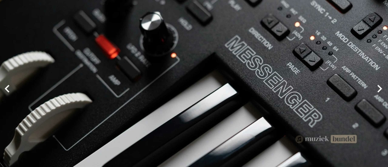 Modulatie en Expressie Moog Messenger | Muziekbundel.nl