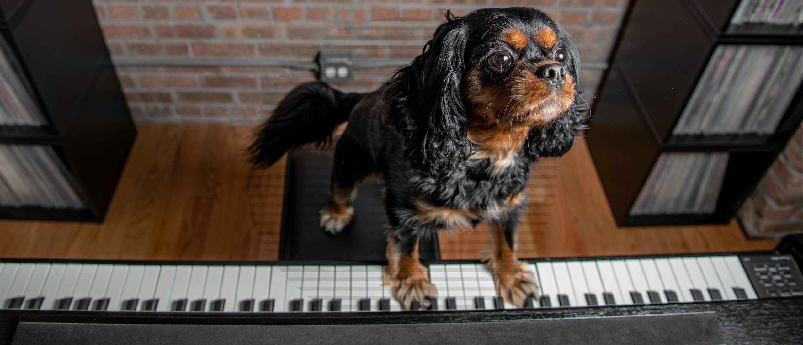 Ontdek de Helende Kracht van Piano Spelen