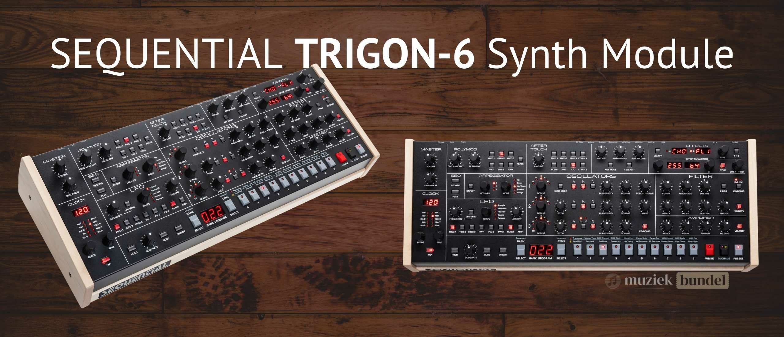 Sequential Trigon-6 Module Synthesizer Krachtige Analoge Sound | Muziekbundel.nl