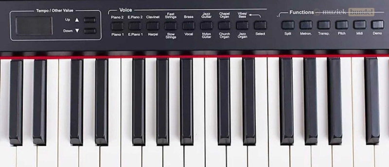 Ervaar de Orla Stage Studio, een digitale piano met gewogen toetsen en dynamische aanslag, geschikt voor zowel beginners als gevorderde pianisten.