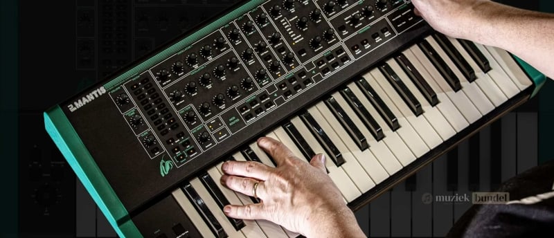 Uitleg over de doelgroep en toepassingen van de PWM Mantis synthesizer voor muzikanten en producers.