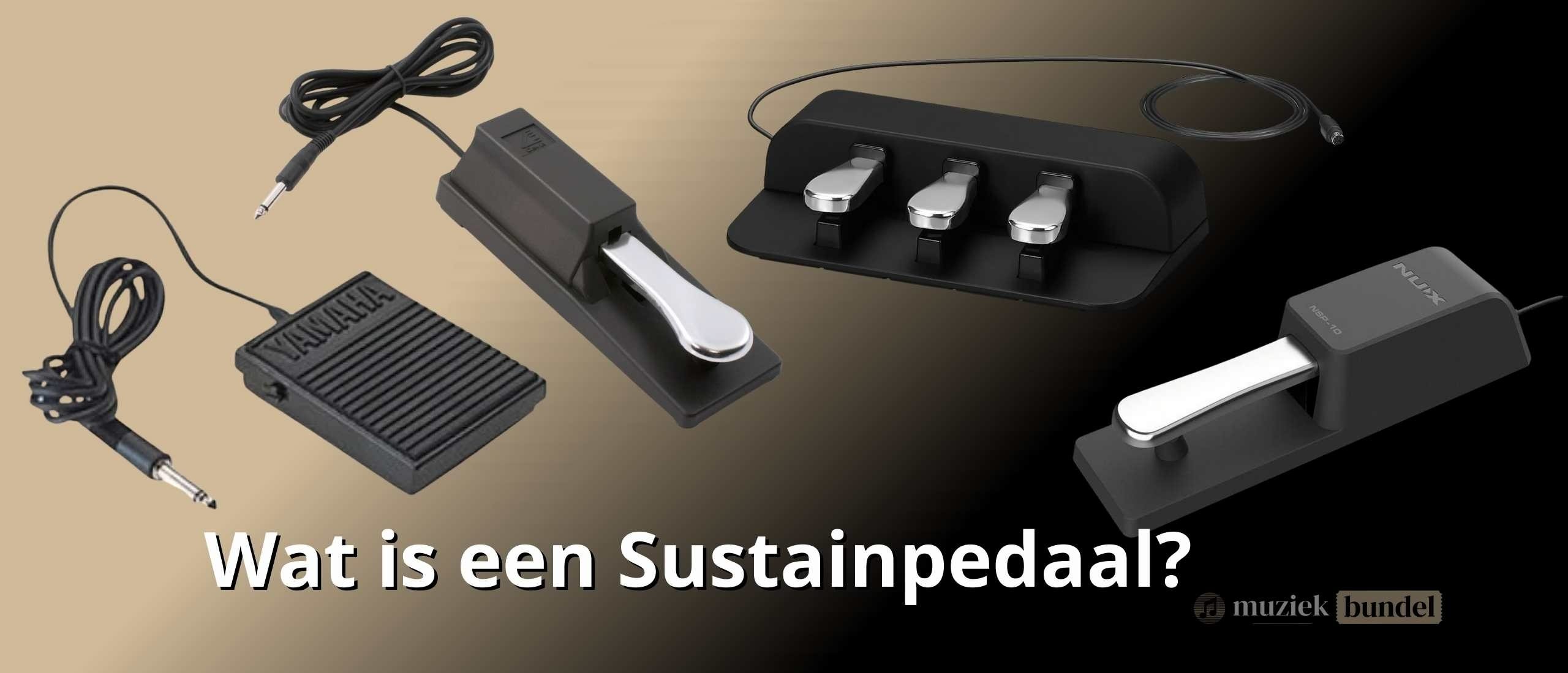 Wat is een Sustainpedaal en Hoe Werkt Het? | Muziekbundel.nl