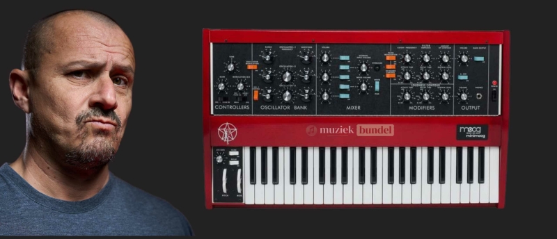Wat vinden gebruikers van de Geddy Lee Minimoog Model D? | Muziekbundel.nl
