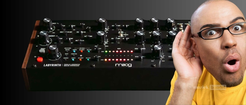 Wat Vinden Gebruikers van de Moog Labyrinth? | Muziekbundel.nl