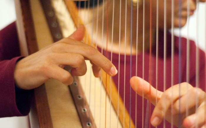 harp-bespelen