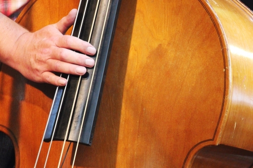 upright-bass