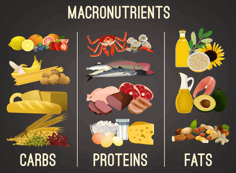 how-to-deal-with-hunger-while-dieting