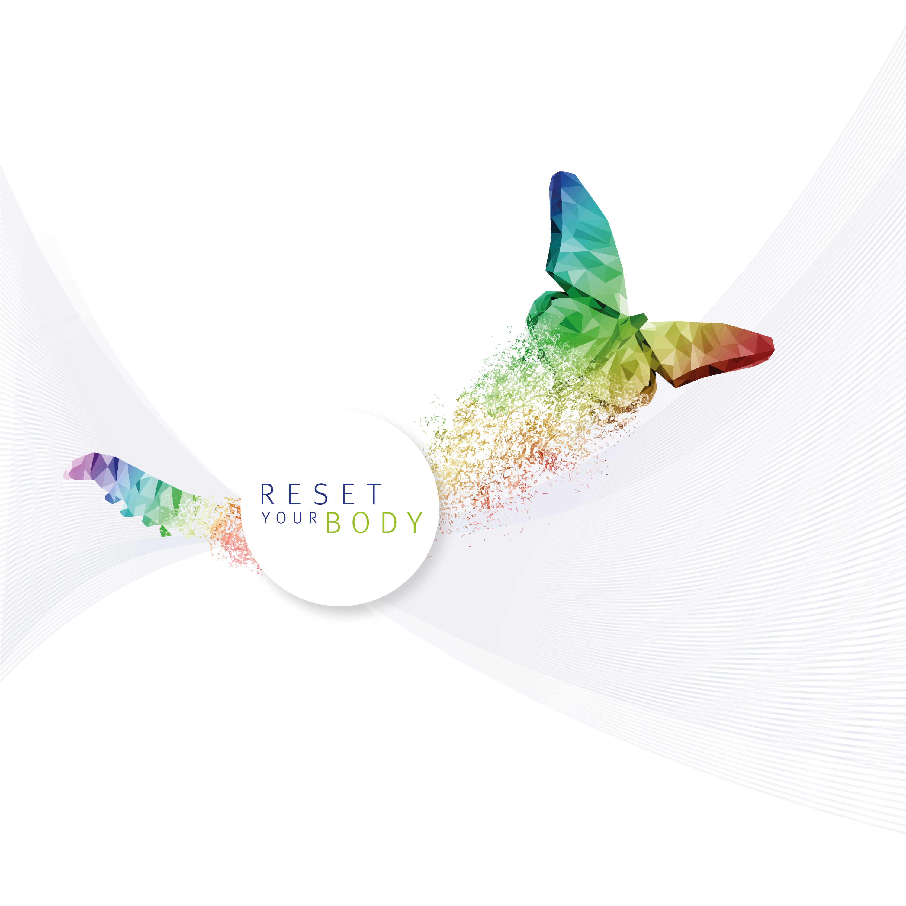 Metabolic Balance Begeleider kPNI Specialist