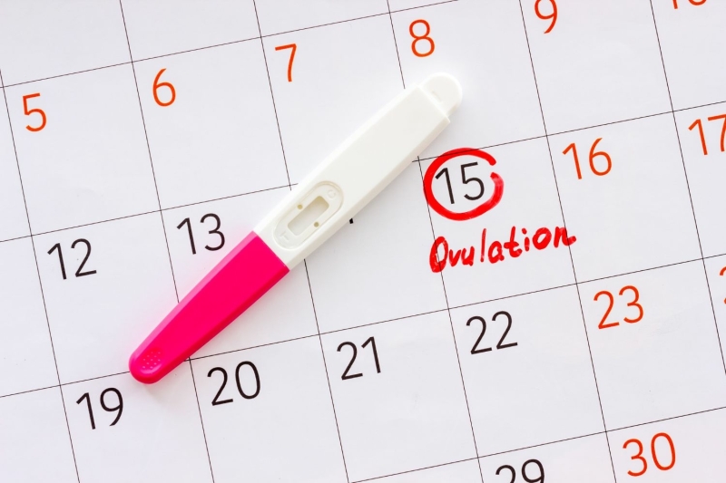 Schema ovulatie