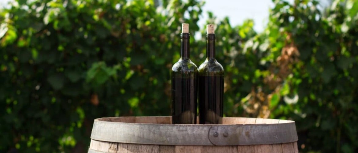 3 redenen waarom rode wijn drinken best gezond kan zijn!