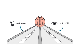 Bij visueel communiceren komen twee kanalen samen in het brein: verbaal via het oor en visueel via het oog.