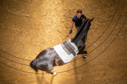 Foto van Bastiaan de Recht met een paard