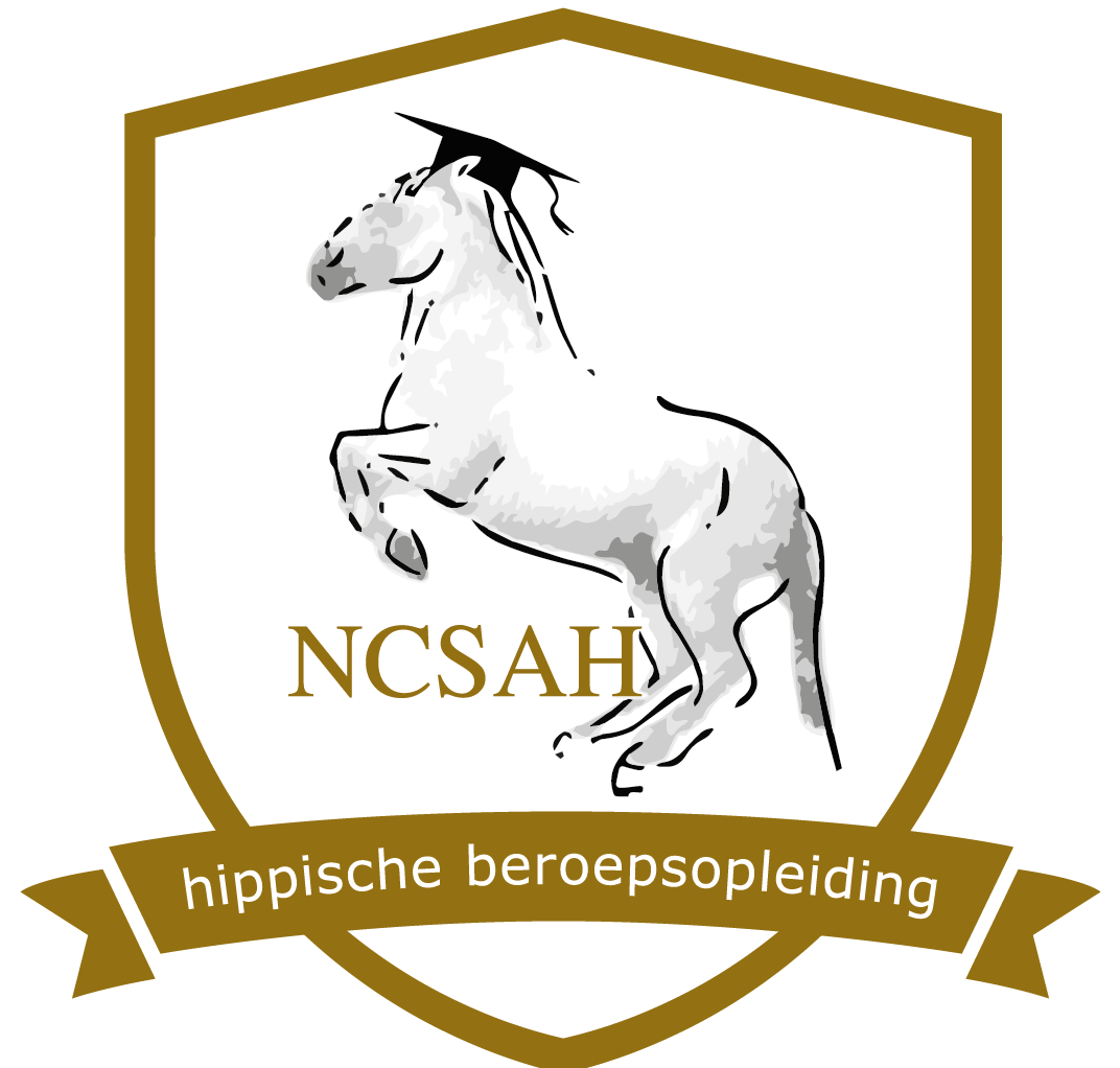 NCSAH logo