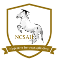 NCSAH logo