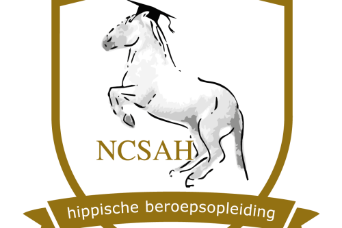 NCSAH logo