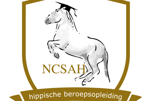 NCSAH logo