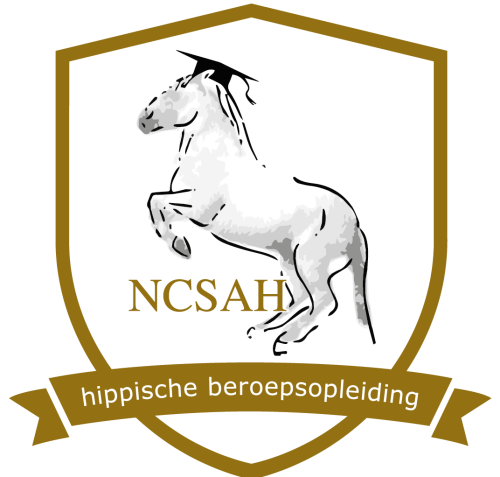 NCSAH logo