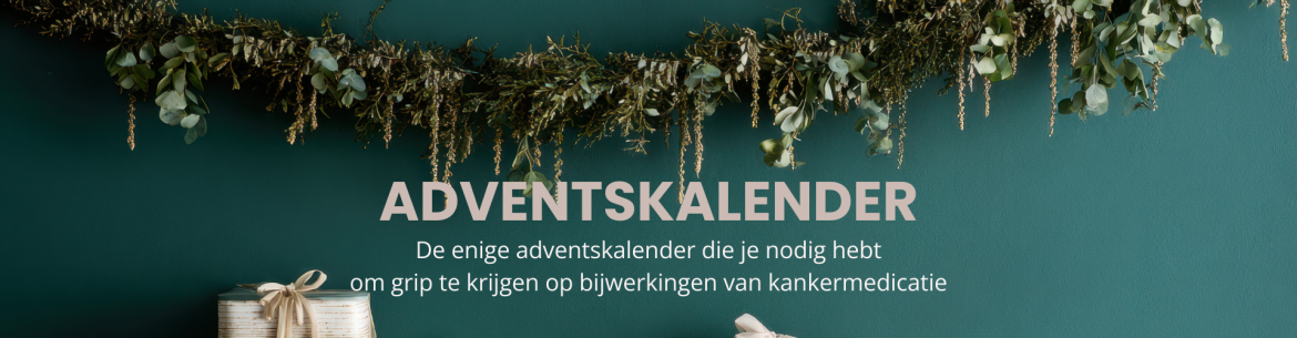 Adventskalender - Phoenix Website Header (1920x500 px)