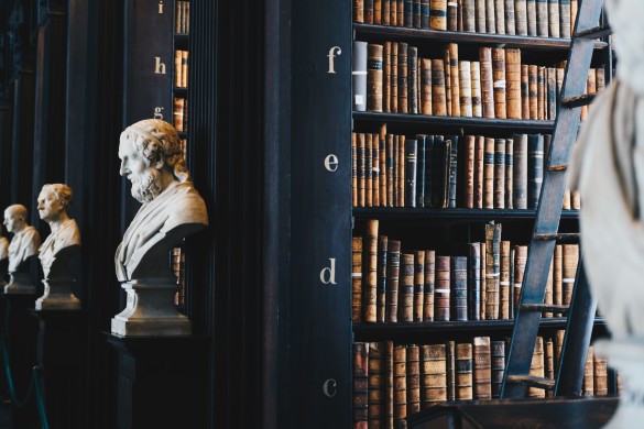 library-lawyer library-lawyer