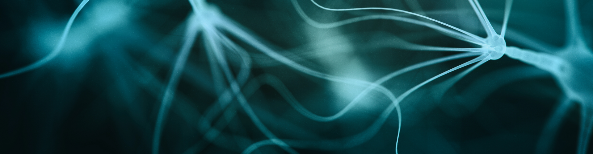 edutainment en infosessies rond neurowetenschap en psychologie voor secundaire scholen jongeren ouders en leerkrachten