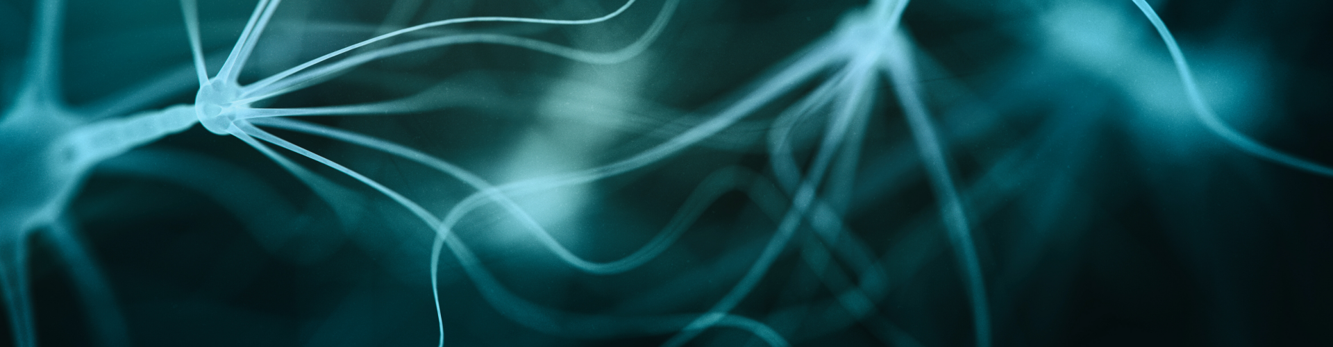 edutainment en infosessies rond neurowetenschap en psychologie voor secundaire scholen jongeren ouders en leerkrachten