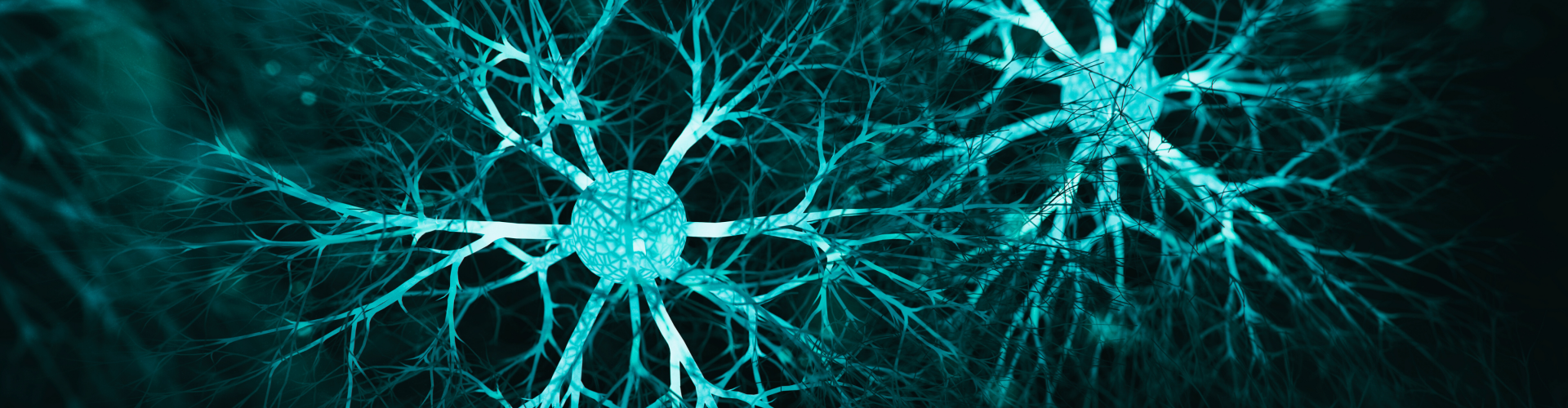 Een eye-opening sessie voor ouders en leerkrachten die tieners beter willen begrijpen Een eye-opening sessie voor ouders en leerkrachten die tieners beter willen begrijpen