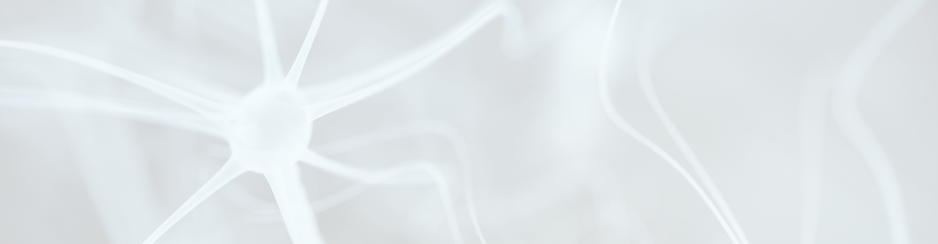 Neuro-Nerd theaterlezing voor secundair onderwijs jongeren focus training