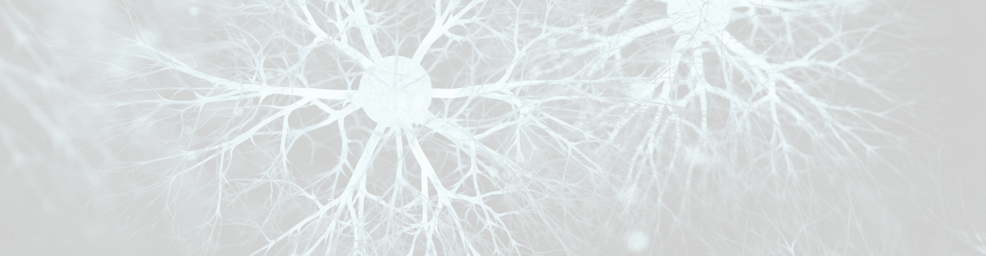 schoolvoorstelling rond respect en pesten voor eerste graad secundair onderwijs schoolvoorstelling rond respect en pesten voor eerste graad secundair onderwijs