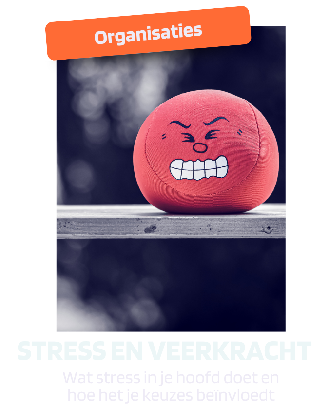 wat kun je doen tegen stress en hoe kun je je veerkracht verhogen om burnout te voorkomen