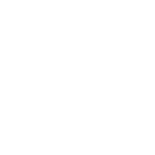 Wetenschapsshow voor scholen maakt neurowetenschap boeiend en begrijpelijk voor jongeren