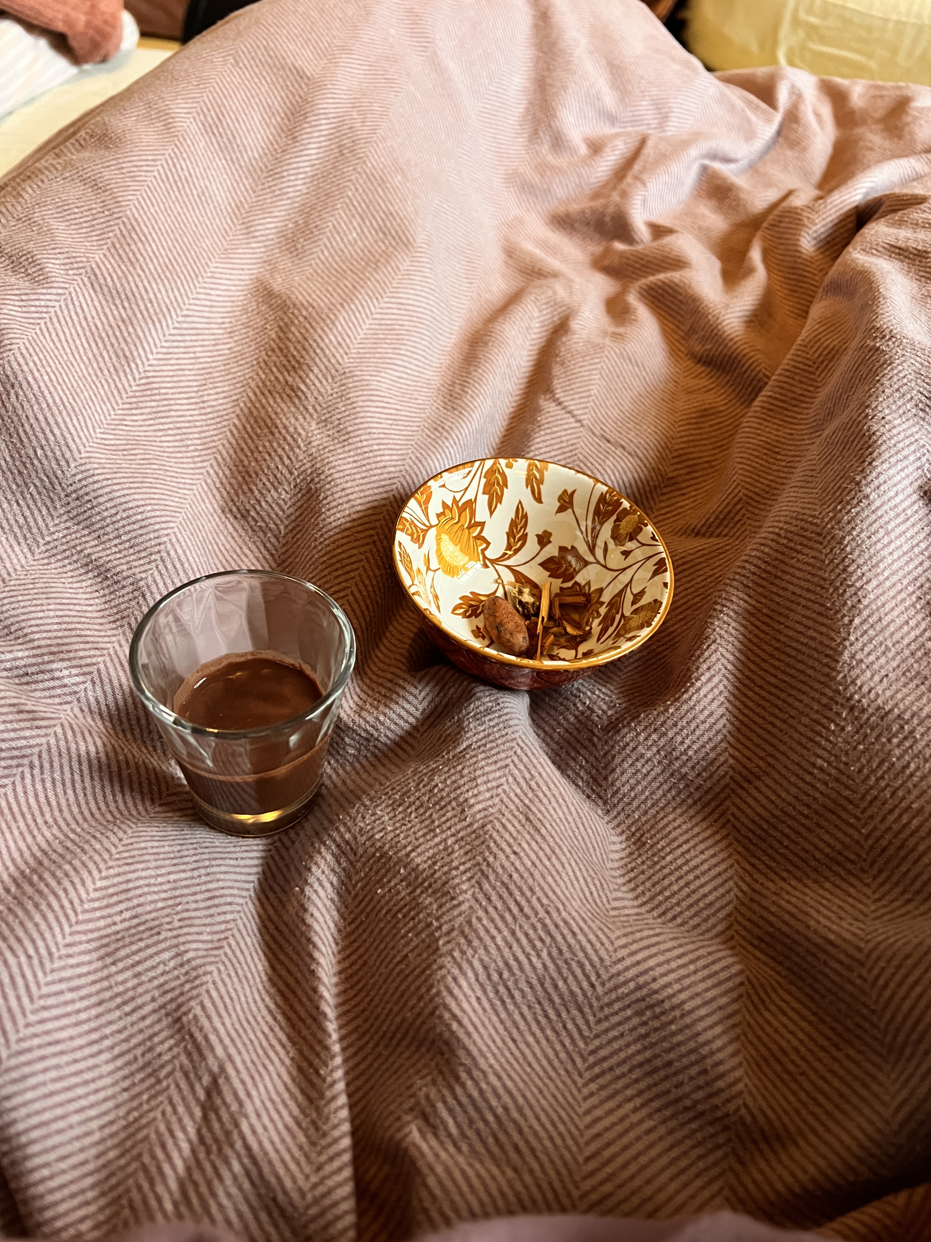 Wat is het verschil tussen een cacao ceremonie en een reis met magische truffels?