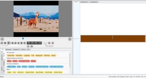 Een screenshort van de Wincaps-software met een openstaande video die we gebruiken in deze opleiding