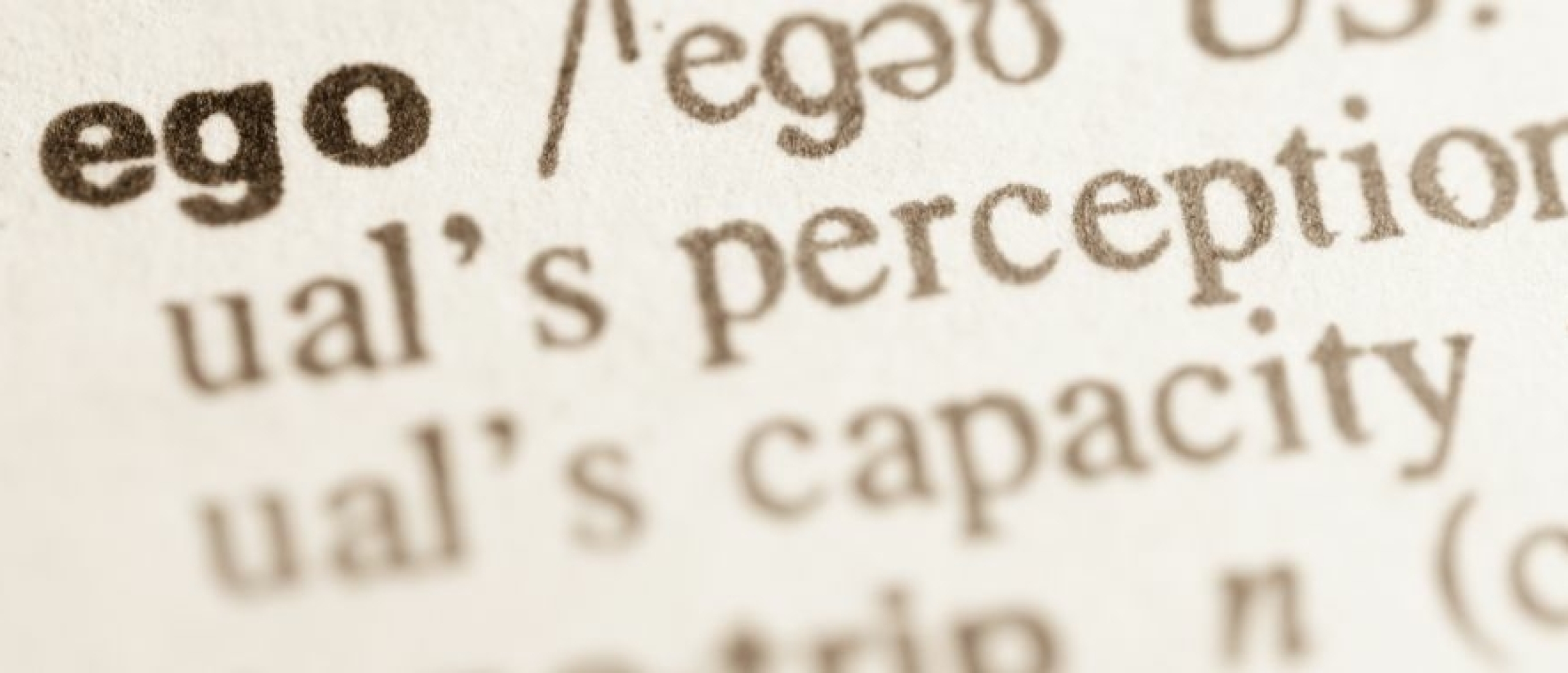Ego offerte tender