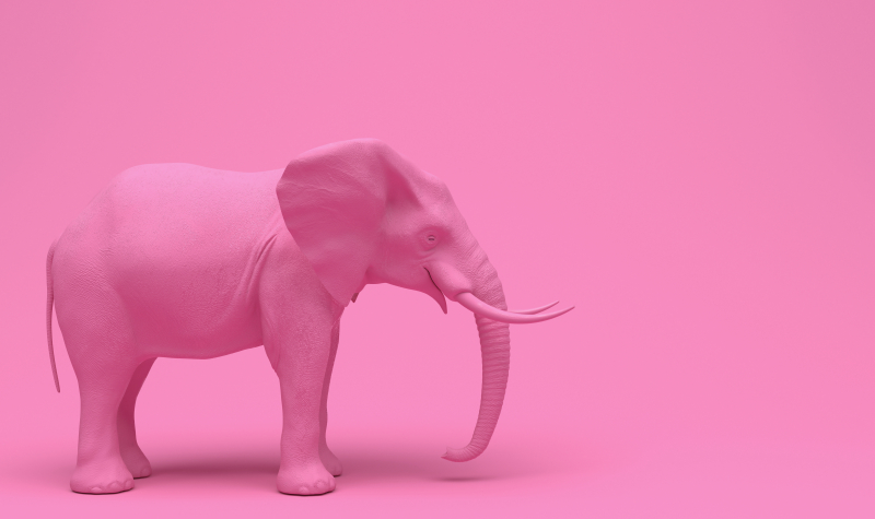 roze-olifant-beeld