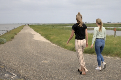 Holistisch gezondheidscoach