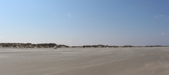 Lokaal is beter