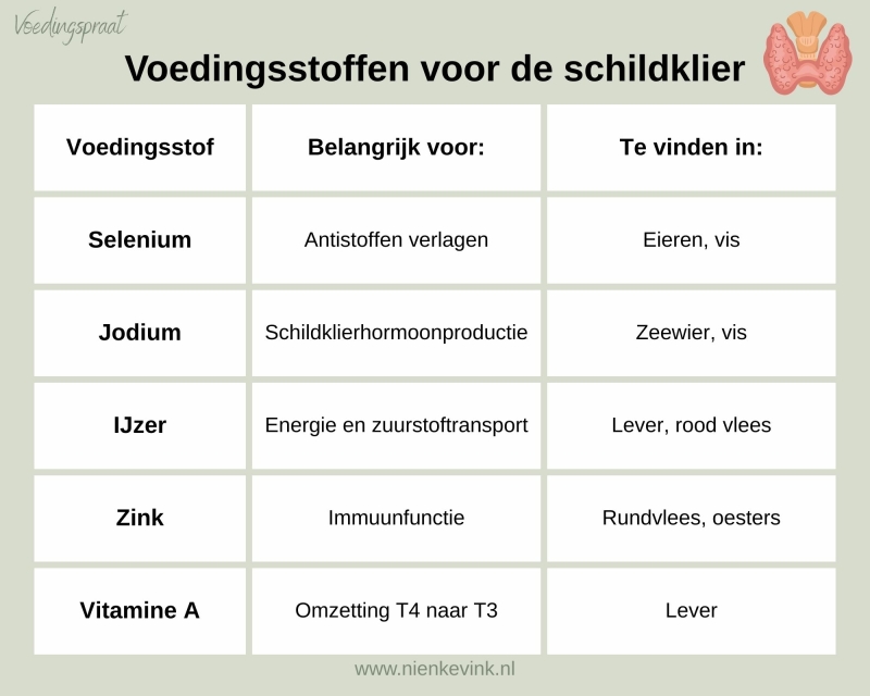 Carnivoor Dieet bij Hasimoto en welke voeding heb je nodig om schildklier te ondersteunen