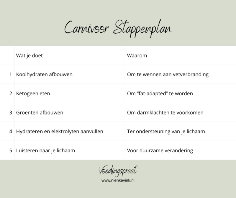 Hoe bouw je een carnivoor dieet op?