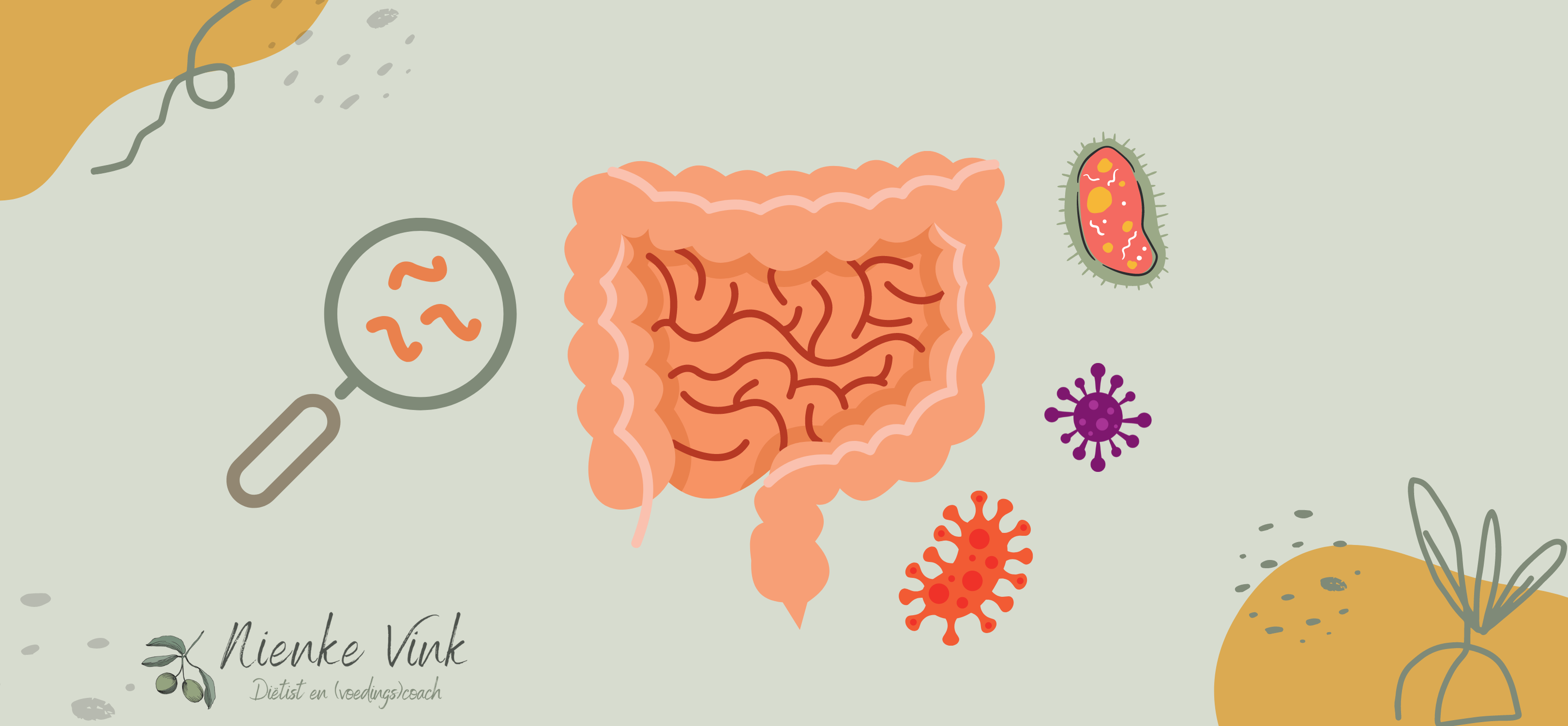 Wat is het verschil tussen probiotica en prebiotica?