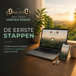 De eerste stappen