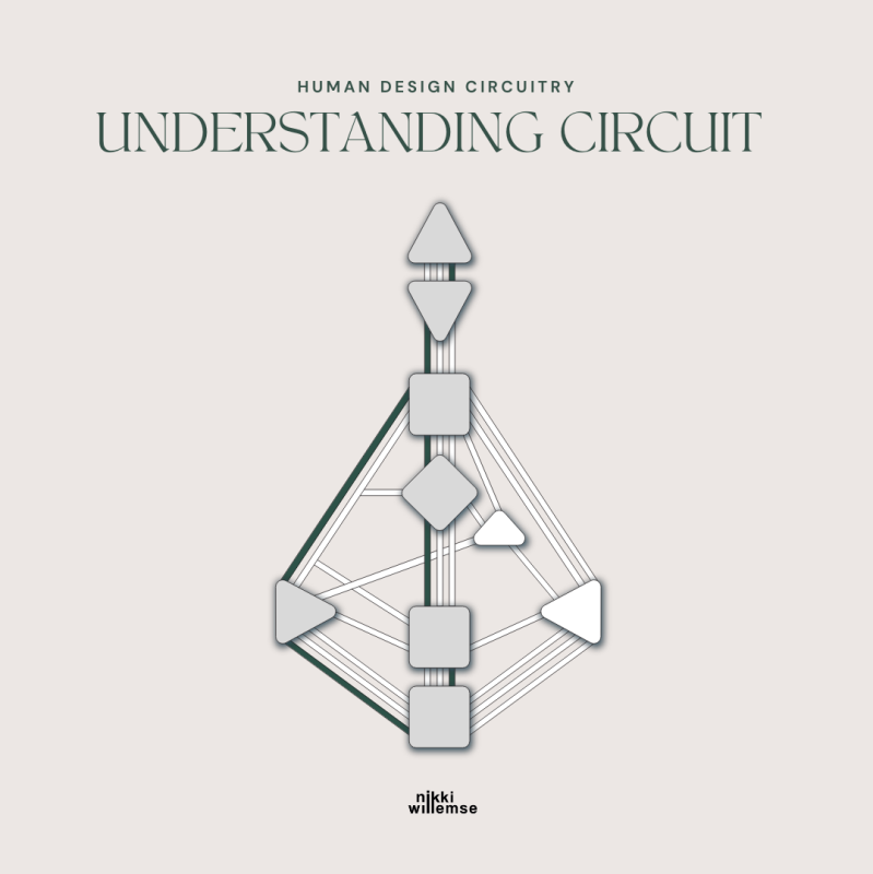 Understanding Circuit
