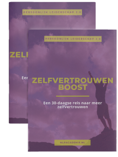 Zelfvertrouwen Boost Challenge book werkboek mockup 2