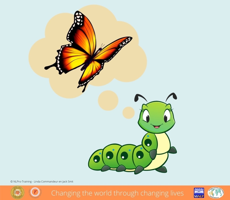 rups of vlinder