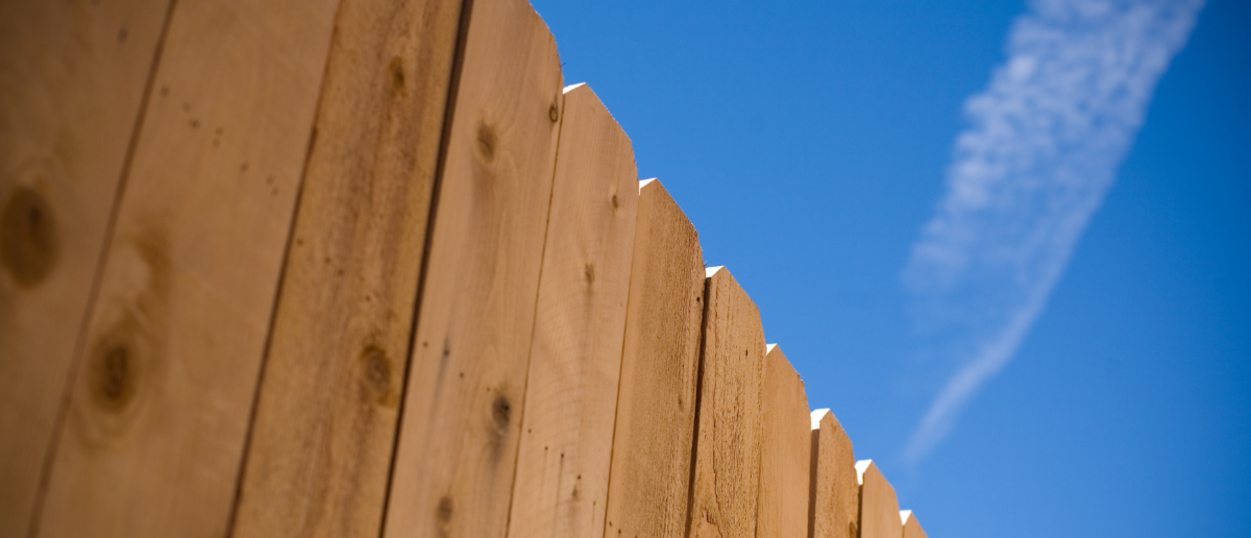 Douglas hout voor buitenprojecten: sterke punten en aandachtspunten