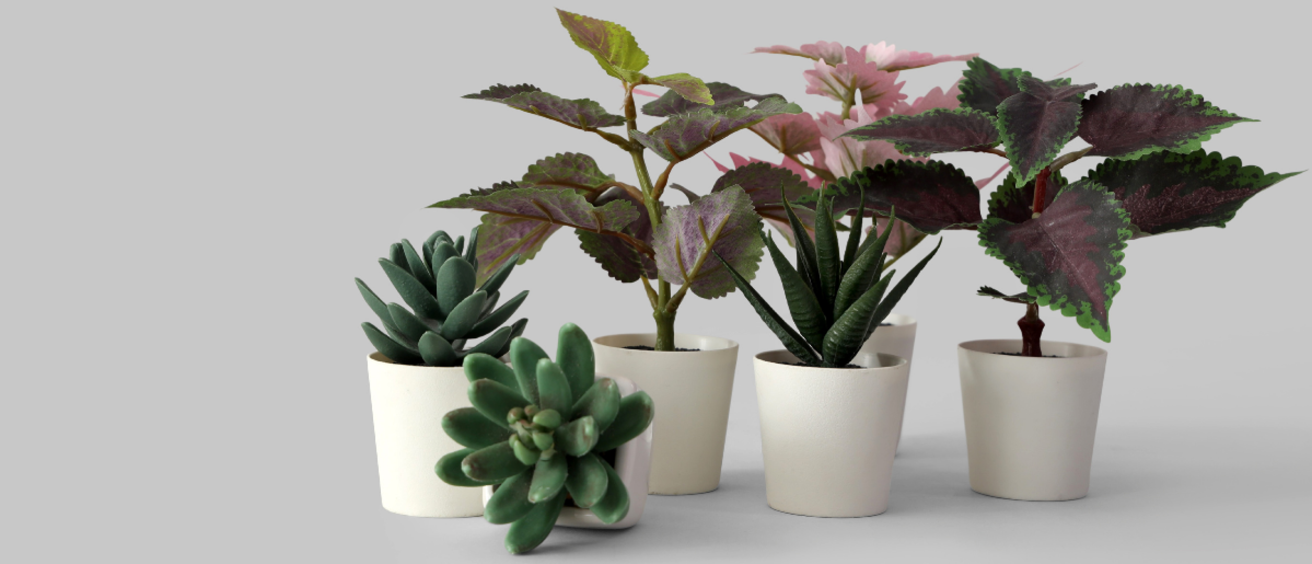 Een nieuw thuis: zo creëer je sfeer na een verhuizing met kunstplanten