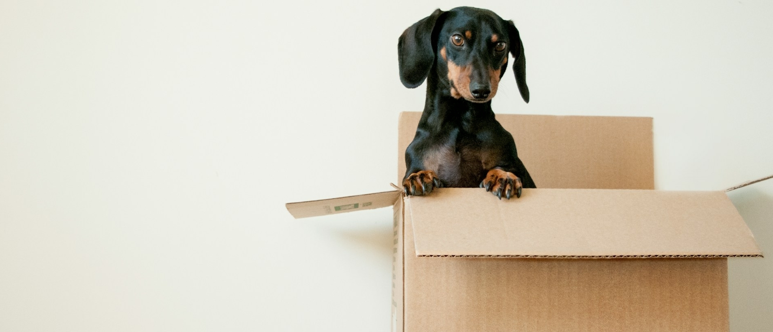 Ontdek deze onmisbare materialen voor tijdens je verhuizing