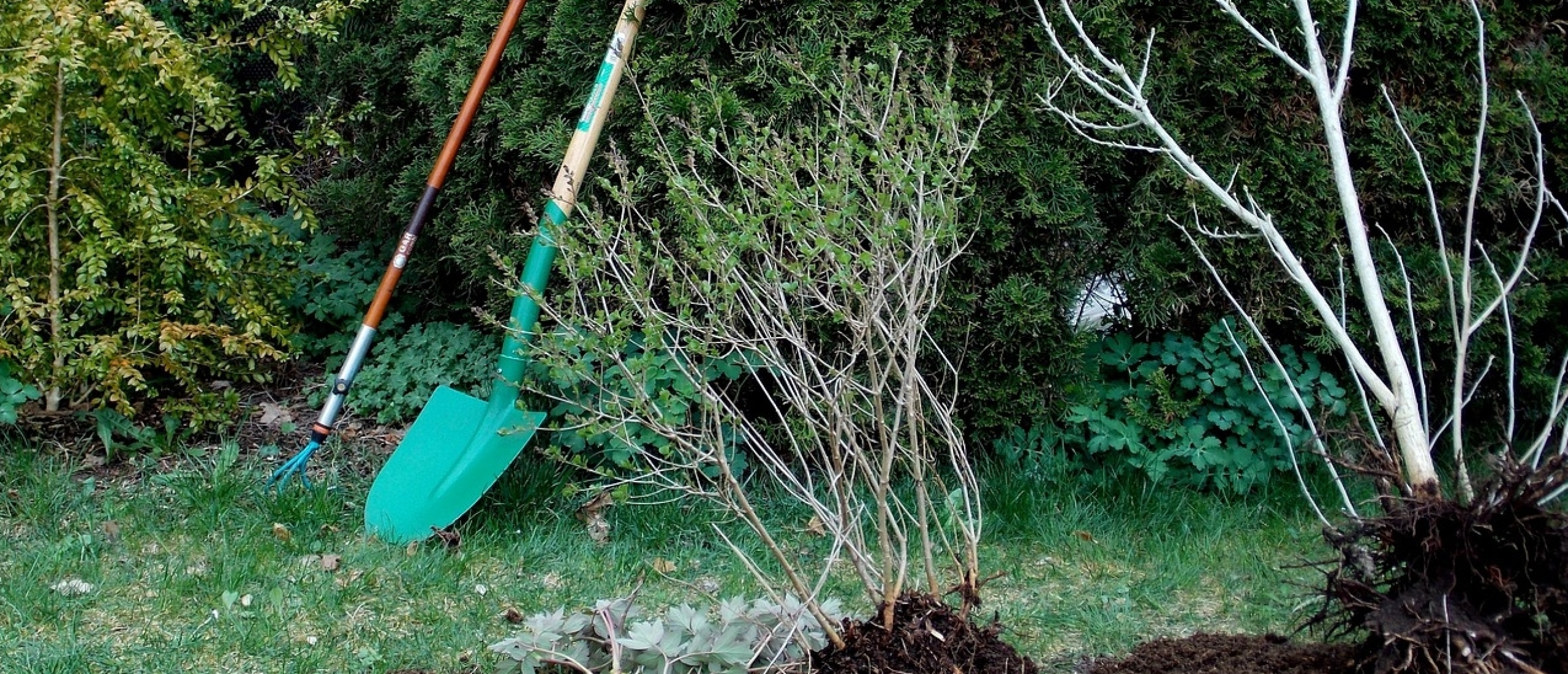 Zo zorg jij voor een onderhoudsvriendelijke tuin