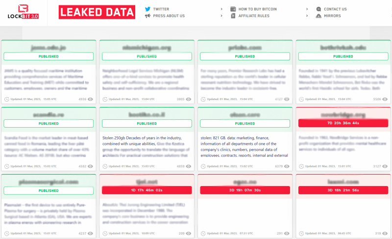 Screenshot leaked data cybercrime