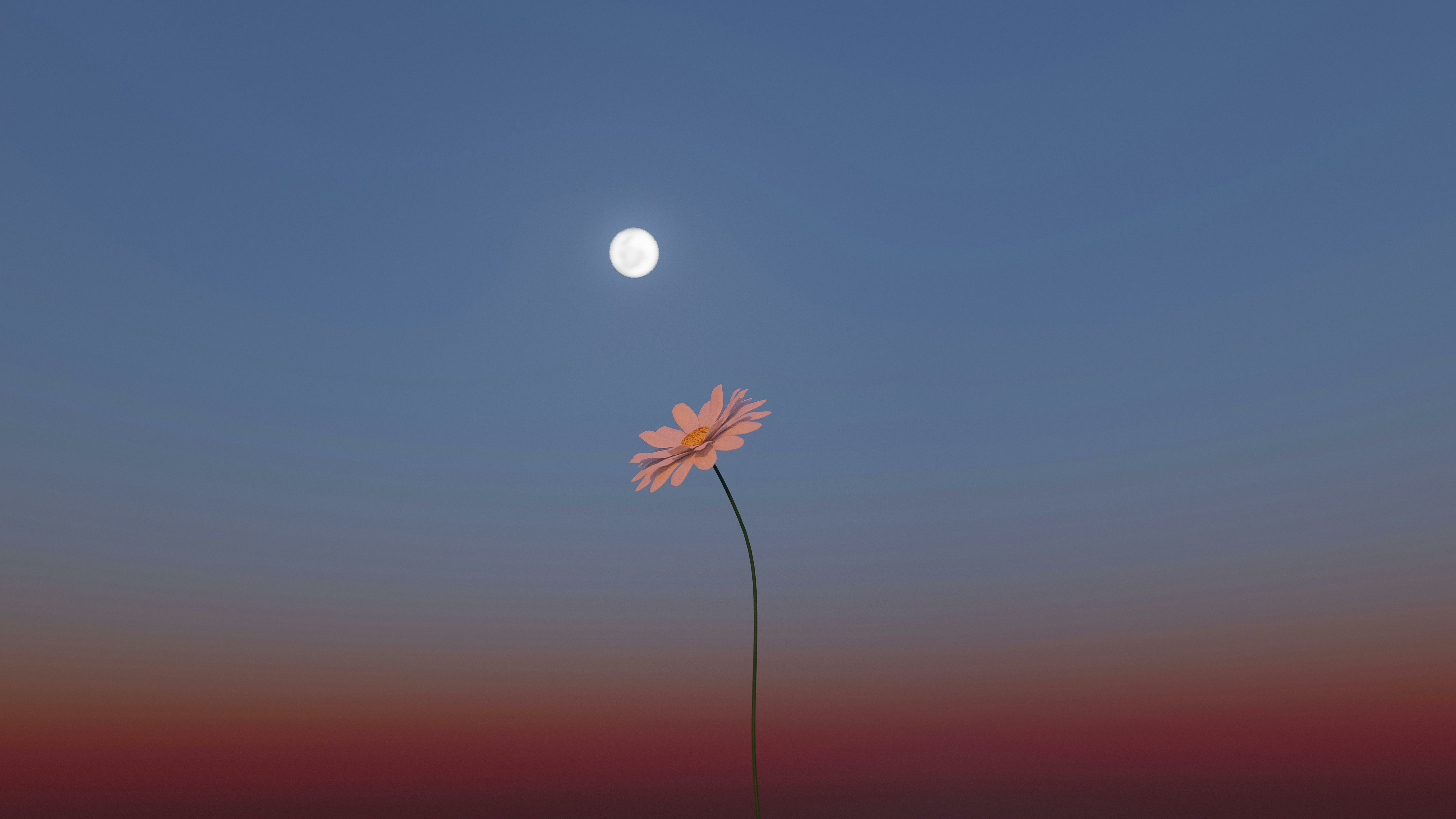 Tussen geloven en weten