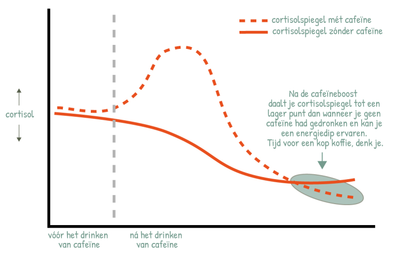 Cortisol stijgt door het drinken van cafeine